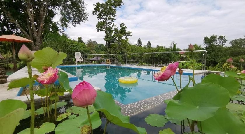 Ban Rai Tin Thai Ngarm Eco Lodge Merim Kültér fotó