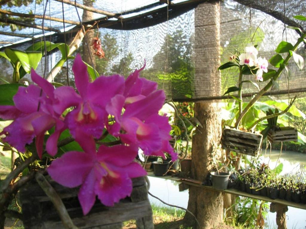 Ban Rai Tin Thai Ngarm Eco Lodge Merim Kültér fotó